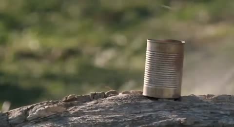  TV Content Image