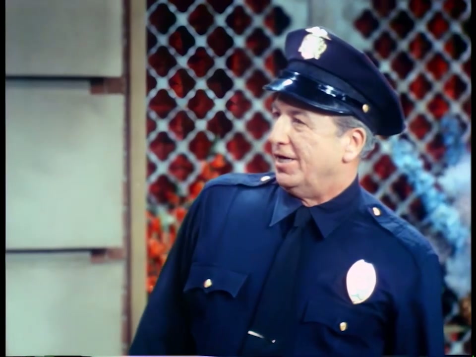 Lucy Meets the Law