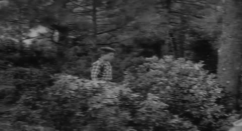 Joey Goes Hunting