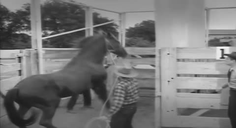 Junior Rodeo