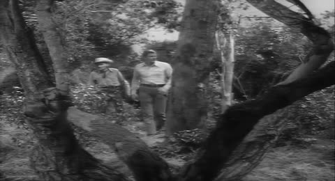 Search for Joey